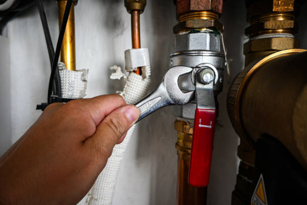 Best Leak Detection Services  in Denison, IA
